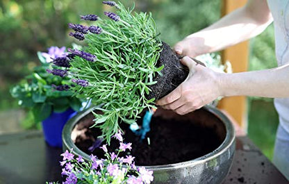 Premium Moisture Control Potting Mix - Get The Perfect Balance of Moisture and Nutrients for Your Plants! - 1 Quart - color: MOISTURE CONTROL MIX, size: 1 Quart
