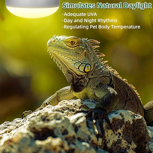 DaToo Reptile Heat Lamp 100W Amphibians Basking Light Bulb UVA Heat Lamp Bulbs Daylight Basking Spot Light for Lizards Bearded Dragon Turtles Snakes Chickens Pet Brooder (2 Pack)