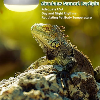 DaToo Reptile Heat Lamp 100W Amphibians Basking Light Bulb UVA Heat Lamp Bulbs Daylight Basking Spot Light for Lizards Bearded Dragon Turtles Snakes Chickens Pet Brooder (2 Pack)