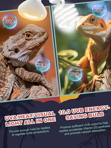 Heat Lamp Combo, 100W UVA Daylight & 26W Desert 10.0 UVB Light | Energy Saving UVB Bulb, Infrared Basking Light, For Bearded Dragon, Turtle and Lizard, Reptile Heat Lamp Bulb