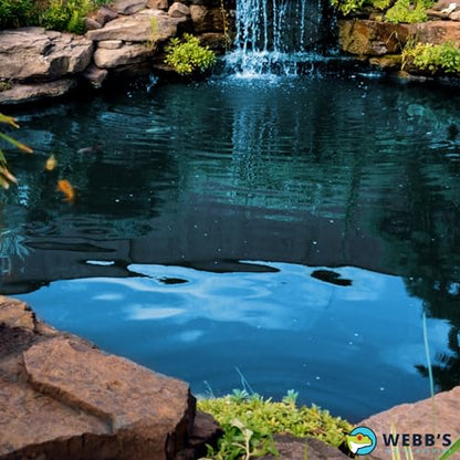 Webb's Water Gardens Essential Tap Water Conditioner Dechlorinator - Ideal for Ponds, Freshwater & Aquariums - Concentrated Formula for Dechlorinated Water - Liquid Supplies for Aquatic Pets - 1 gal