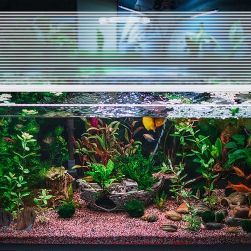 Sieral Aquarium Canopy Set Polycarbonate,16 x 8 Inch,Clear,1 Pcs - color: Clear, size: 16 x 8 Inch