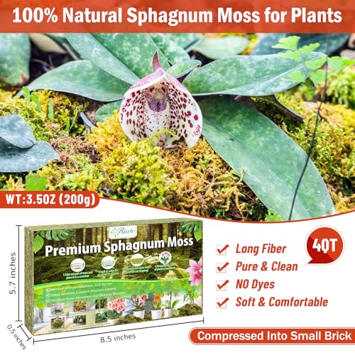 Riare 3.88OZ Premium Sphagnum Moss for Plants- 4QT Natural Dried Plant Moss | Moisture Retention & Drainage Orchid Moss for Repotting, Succulents, Carnivorous, Ferns, Green Moss for DIY Craft, Reptiles - size: 4 QT(Appx.3.88oz)