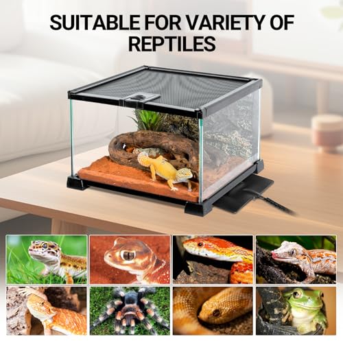 WACOOL TERRA 6" X 8" Reptile Heat Pad Fast Heating Pad Terrarium Heating Mat Waterproof for Turtle, Lizard, Frogs, Snake, Hermit Crab - size: 6" X 8"