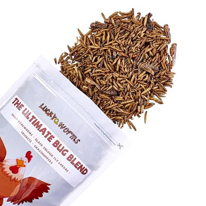 Dried Insect Trail Mix for Chickens - High Protein 42% & Calcium 1.1% for Egg Laying - Natural Treat for Birds, Reptiles, Ducks, Hedgehogs - 1 Lbs Resealable Bag