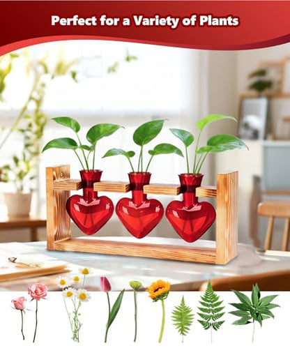 Plant Terrarium with Wooden Stand, 3 Heart Bulb Glass Vases | Wooden Stand Tabletop for Air Planter, Gifts for Mom Plant Lovers Mom Women Wife Grandma - color: Red