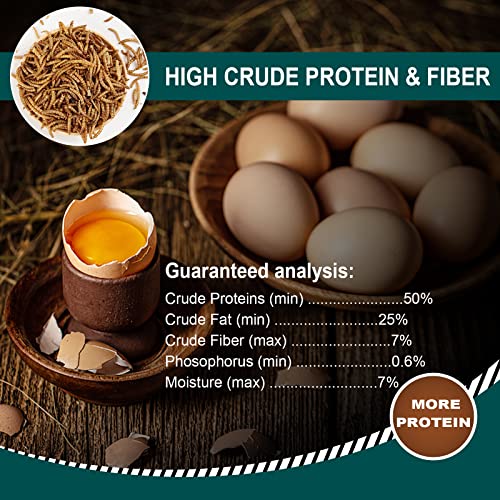 5LB 100% Natural Non-GMO High Protein Dried Mealworms, Large Size No Moisture, Perfect for Chickens Birds Hedgehog Hamster Fish Reptile Turtles - size: 5 Pound (Pack of 1)