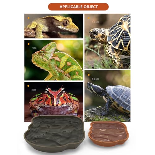 Amphibians Feeding Soaking Pool Multifunctional Reptiles Habitat Water Feeding Bowl Platform with Step Design Reptiles Sunbathing and Station - color: Black, size: Large