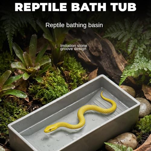 Tortoise Water Dish Feeding Tray with Ramp | Reptile Food Water Bowl for Geckos Snakes Pets Habitat Aquarium Terrarium Outdoor