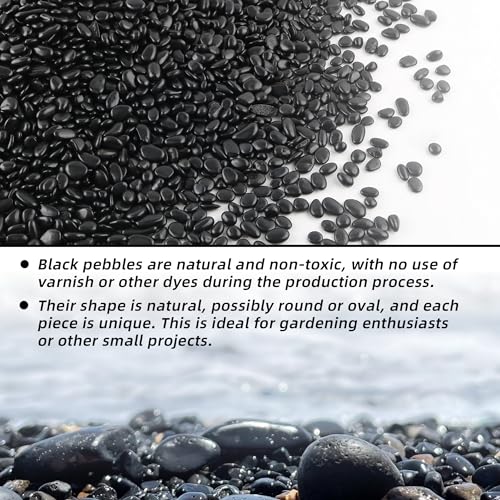 7lb 1/4" Small Pebbles Black for Plants,Potting,Succulents Aquarium Fish Tank Vases Decorative Garden Polished Gravel Rocks Stones - color: Black, size: 7lb