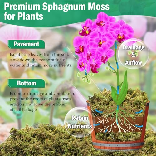 Riare 2.8LB Premium Sphagnum Moss for Plants- 55QT Natural Dried Plant Moss | Moisture Retention & Drainage Orchid Moss for Repotting, Succulents, Carnivorous, Ferns, Green Moss for DIY Craft, Reptiles - size: 55 QT(Appx.2.8lbs)