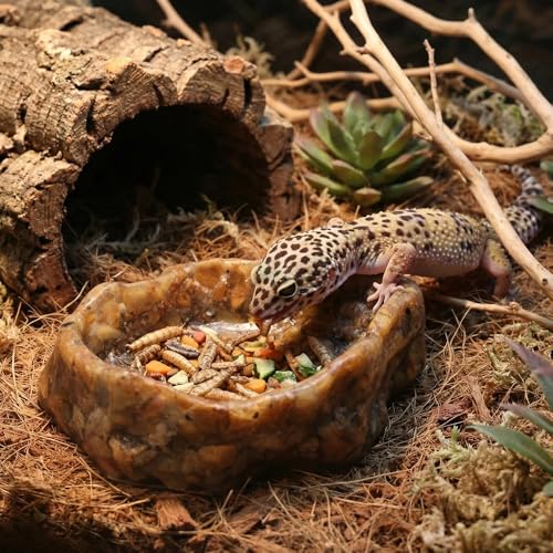 2 Pack Reptile Food Bowl Natural Sandstone Water Dish for Leopard Gecko Frog Bearded Dragon Snake Tortoise Hermit Crab