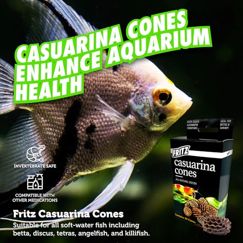 Fritz Aquatics Betta Botanicals for Betta and Community Fish Aquariums (Casuarina Cones - 20ct)