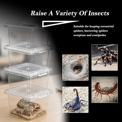 30 Pcs Insect Spider Terrariums Transparent Breeding Box Plastic Hatching Container for Tarantula Spider Scorpion Centipede Mantis