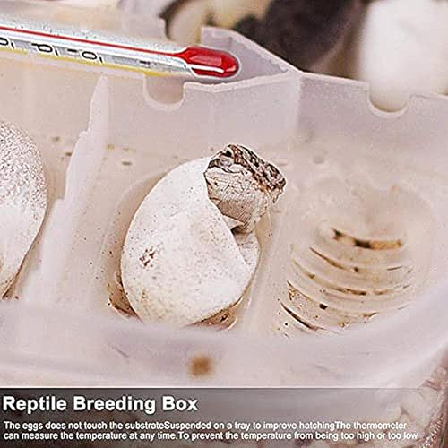 Reptile Breeding Box Incubation Box Hatching Case Hatching Tray | 16 Grids Transparent Reptile Incubator for Snake Lizard Turtle Gecko Chameleon Bearded Dragon Leopard Gecko Egg Incubation - color: A