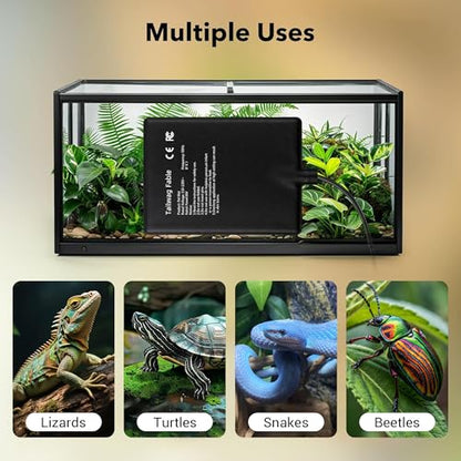 8W Reptile Heating Pad, 6"x8" with Digital Thermostat | Compact graphene under tank heater for 10-20 gal terrariums. Accurate temperature control for small reptiles.