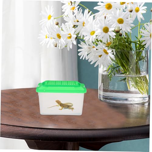 BESPORTBLE Portable Transparent Turtle Feeding Box for Aquatic Pets Lightweight Reptile Habitat and Tank for Travel and Outdoor Adventures
