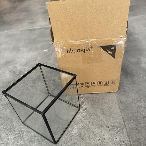 Small Square Glass Terrarium with Lid, 4.3 Inch Clear Glass Planter Box for Moss, Succulents & Air Plants, Mini Fairy Garden Display Case, Black Metal Frame, Indoor Tabletop Plant Decor - size: Small Square