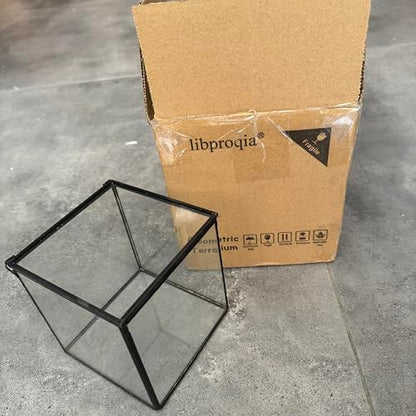 Small Square Glass Terrarium with Lid, 4.3 Inch Clear Glass Planter Box for Moss, Succulents & Air Plants, Mini Fairy Garden Display Case, Black Metal Frame, Indoor Tabletop Plant Decor - size: Small Square