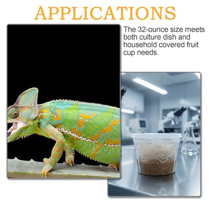 Deli Cups with Fabric Vented Lids 16 OZ, 10 Pack | Culture Cup Mesh Container, Bug Viewer Critter Insect Cage, Magnifying Insect Box