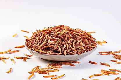 I LOVE WORMS Dried Mealworms (10lb), 100% Natural Non-GMO, High-Protein Mealworms for Chickens, Birds, Ducks, Reptile, Tortoise, Amphibian, Lizard - size: 10 Pound (Pack of 1)