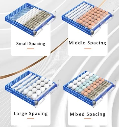 Generic Egg Incubator, LED High-Efficiency Automatic Egg Turning & Temperature Control, Automatic Incubator for Hatching Eggs, for Hatching Chicken Duck Quail Eggs, 256 Eggs, Blue