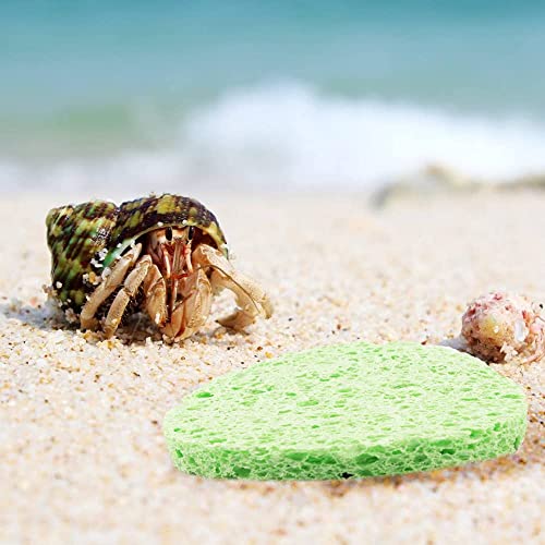 Green Sponge Accessories for Hermit Crab Habitat, Moisture Supply for Maintaining Tank Humidity, 10PCS