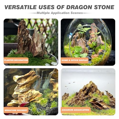 Unocho Aquarium Rocks 5lb Dragon Stone for Aquariums Landscaping Model Fish Tanks Terrariums Vivariums Paludarium Amphibian Enclosures(2-4 inches) - size: 5LB(2-4 inches)