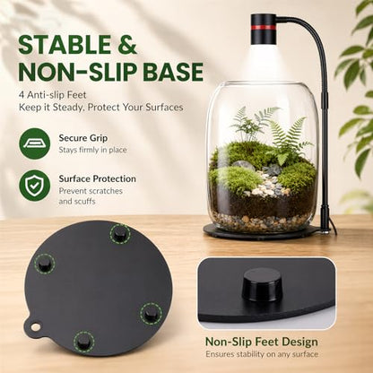 Glass Plant Terrarium with LED Grow Light for Home Office | 8.46" H x 5.9" D, Grow Light for Terrarium for Venus Fly Trap, Moss & Succulents, for Plant Lovers