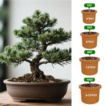 Doter Premium Bonsai Soil Mix with Enhanced Aeration & Drainage 1qt - Professional Grade Potting Soil for Bonsai Pots - color: Bonsai Soil, size: 1qt