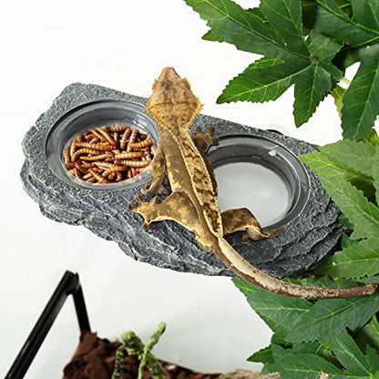 REPTIZOO Reptile Magnetic Feeder Ledge, Double Bowl Reptile Food Dish with 6PCS Feeding Cups Food Water Feeder for Crested Gecko Lizard Chameleon Pets - size: Large