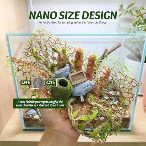 Jumping Spider Enclosure Accessories Kit - Magnetic Moss Ball Hideout, 2 Rock Ledges, Feeding Bowl, Climbing Mesh Nets & Rope Ladder - Natural Forest Habitat Decor for Regal (Moss Cave) - size: Moss Cave without Rope