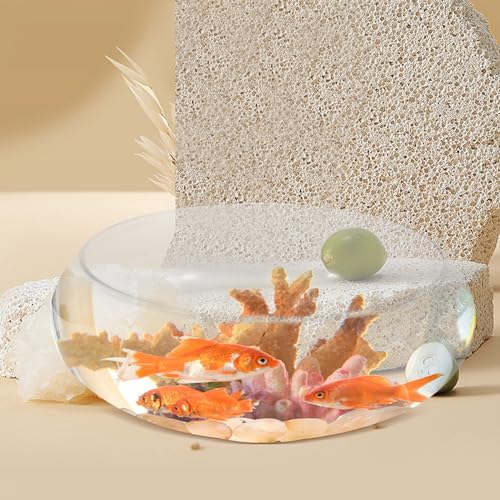 BESPORTBLE Clear Fish Bowl Vase Bubble Bowl Wide Mouth Flower Vase Round Shallow Planter Terrarium Aquatic Plant Pot Daffodil Pot Hydroponic Planter Fish Tank Bowl - size: 25.00X25.00X10.00CM