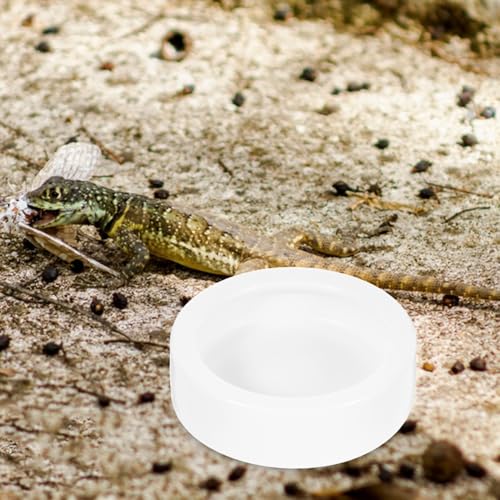 VANZACK 4pcs Reptile Food Dish Set Thick Feeding Bowls for Lizard and Reptiles Medium Round Shape Easy to Clean Stable Base for Food and Water Storage