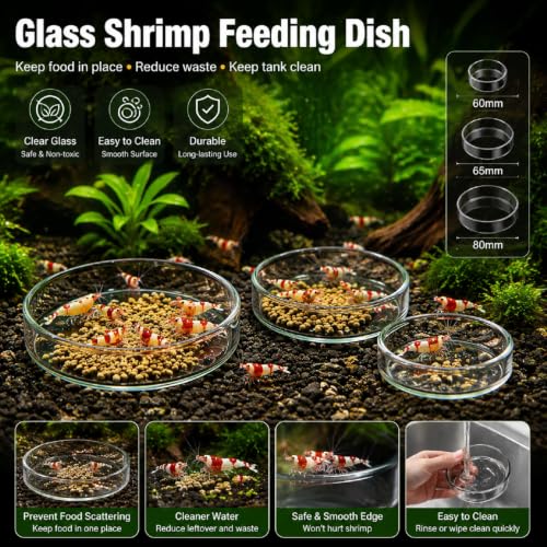 Patelai 3 Pcs Shrimp Feeding Dish, Clear Glass Aquarium Feeder Bowl for Shrimp Tank, Fish Tank Food Tray with 60mm 65mm 80mm Sizes, Freshwater Aquarium Accessories