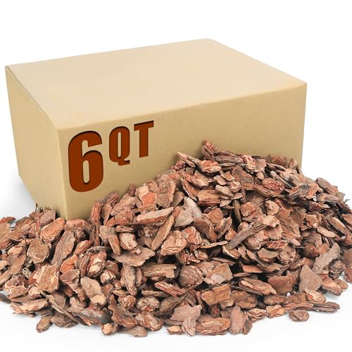 6 Quart Organic Orchid Bark for Potting-Natural Orchid Mulch for Potted Plants, Root Development of Orchid Plants and Garden Soil Amendment Mix - color: Medium, size: 6qt