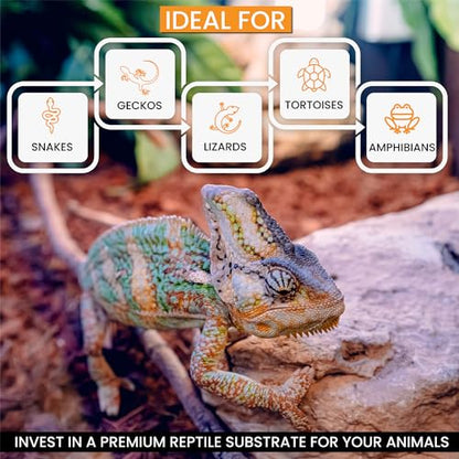 ReptiChip Reptile Substrate Coconut Chip Bedding 72 Quart Compressed Organic Coco Husk Block for Snake Habitat, Ball Python Terrarium, Turtle Tanks, Tortoise Enclosure - size: 1 Breeder Block