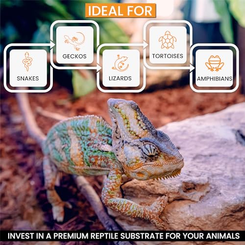 ReptiChip Reptile Substrate Coconut Chip Bedding 72 Quart Compressed Organic Coco Husk Block for Snake Habitat, Ball Python Terrarium, Turtle Tanks, Tortoise Enclosure (10 Pk) - size: 10 Pack Breeder Bundle
