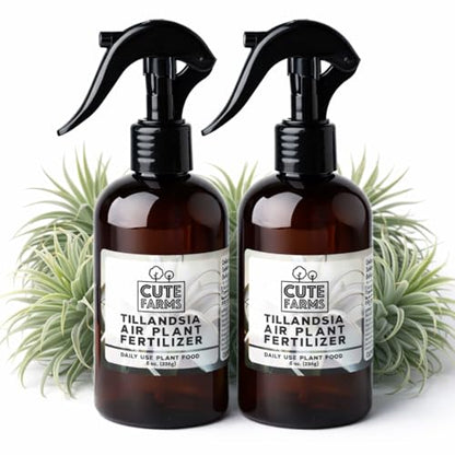 Cute Farms Tillandsia Air Plant Fertilizer | Gentle Daily Use Formula | Formulated Nutrients for Air Plants (8 oz Spray Bottle, 2 Pack) - size: 8 oz (2 Pack)