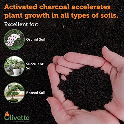 OLIVETTE Organic Biochar Activated Charcoal for Plants, 3 Bags | USDA Horticultural Charcoal, Moisture Control For Terrariums & Potted Plants, Biochar Soil Additive For Gardening - size: 3 Bags