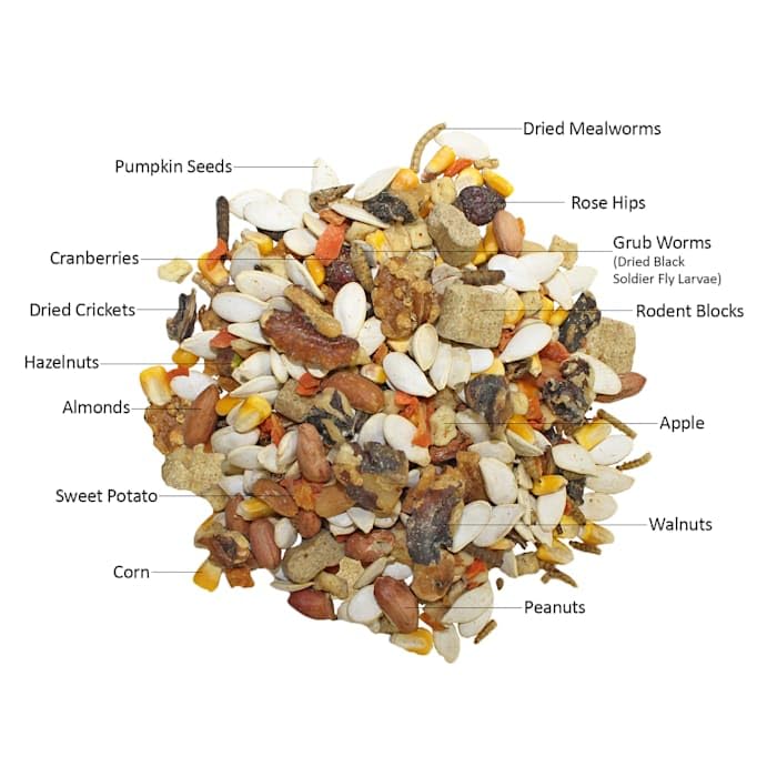 Exotic Nutrition Squirrel Complete (1.75 lb.) - Healthy Natural Food - Nutritional Diet for Pet & Captive Squirrels - Ground, Grey, Flying Squirrels, & Chipmunks - size: 1.75 Pound (Pack of 1)