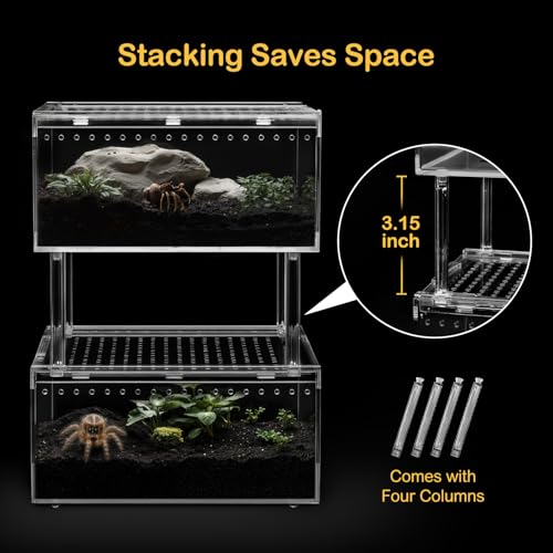 PC Small Reptile Terrarium Starter Kit,Magnetic Jumping Spider Enclosure