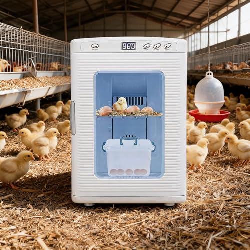 25L Reptile Egg Incubator with Cooling & Heating - Portable Scientific Lab Incubator, 10°c-60°c Temperature Control, 12V/110V Digital Incubator for Small Reptiles Hatching,White - color: White