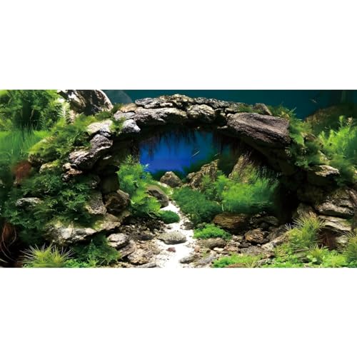 AWERT 72x16 inches Arch Stone Aquarium Background River Bed & Lake Aquarium Vinyl Background Aquatic Plant Fish Tank Background - size: 72x16in/180x40cm
