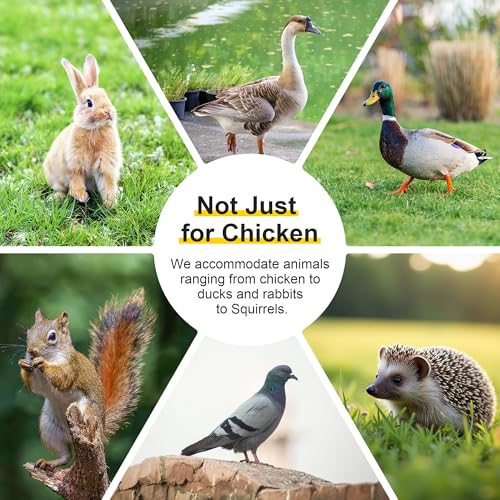 Chicken Coop Run Rabbit Cage No Assembly Portable Chicken Run Bunny House with Top & Side Opening Doors,Outdoor Small Animal Playpen Wooden Chicken Brooder Box Guinea Pig Cage 45"x 42"x 20" - color: Wood