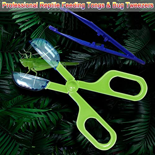 Reptile Feeding Tongs Plastic Reptile Poop Scoop | Bug Scooper Feeding Tweezers Long Handle Feeder Tools for Fish Aquariums Reptiles Snakes Lizard Gecko Spider and Bird - color: Green