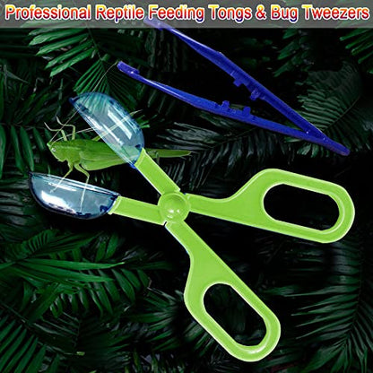 Reptile Feeding Tongs Plastic Reptile Poop Scoop | Bug Scooper Feeding Tweezers Long Handle Feeder Tools for Fish Aquariums Reptiles Snakes Lizard Gecko Spider and Bird - color: Green