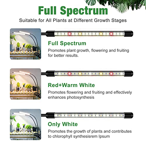 Clip on Grow Lights for Indoor Plants, Full Spectrum 6000K | 2-Head Gooseneck Plant Lamp, 6/12/16H Auto Timer, 5-Level Dimming, 40 Red & White LEDs, for Seedlings, Indoor Growing, 2 Pack