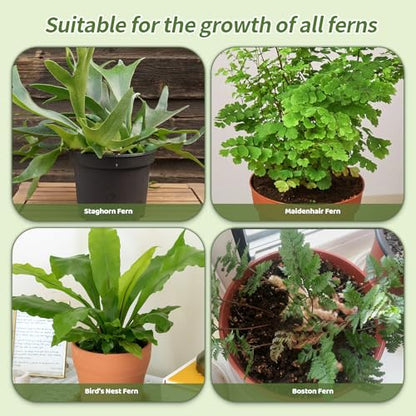 Doter Potting Soil Mix for Fern 10qt, Custom Hand Blended Mixture Suitable for Indoor/Outdoor Potted Fern Plant - size: 10qt