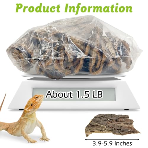 Reptile Cork Bark 1 Lb Flat Cork Wood for Terrarium Small Tree Bark Pieces 3.9-5.9in Natural Bulk Cork Bedding Tank Substrate for Bearded Dragon Snake Spiders Geckos Tortoise Hermit Crabs